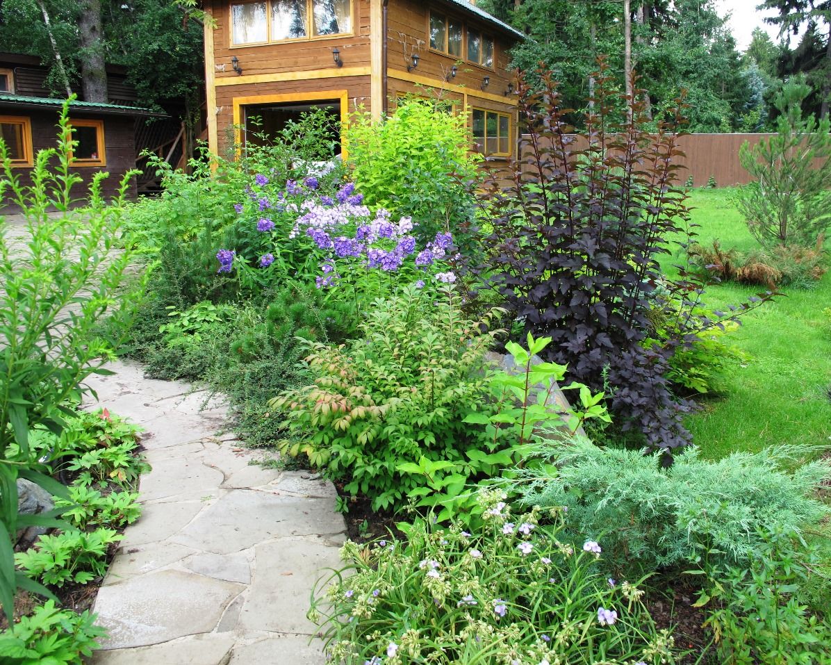 Проект Переделкино